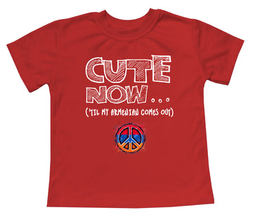 Peace ('Til My Armenian Comes Out) Toddler T-shirt