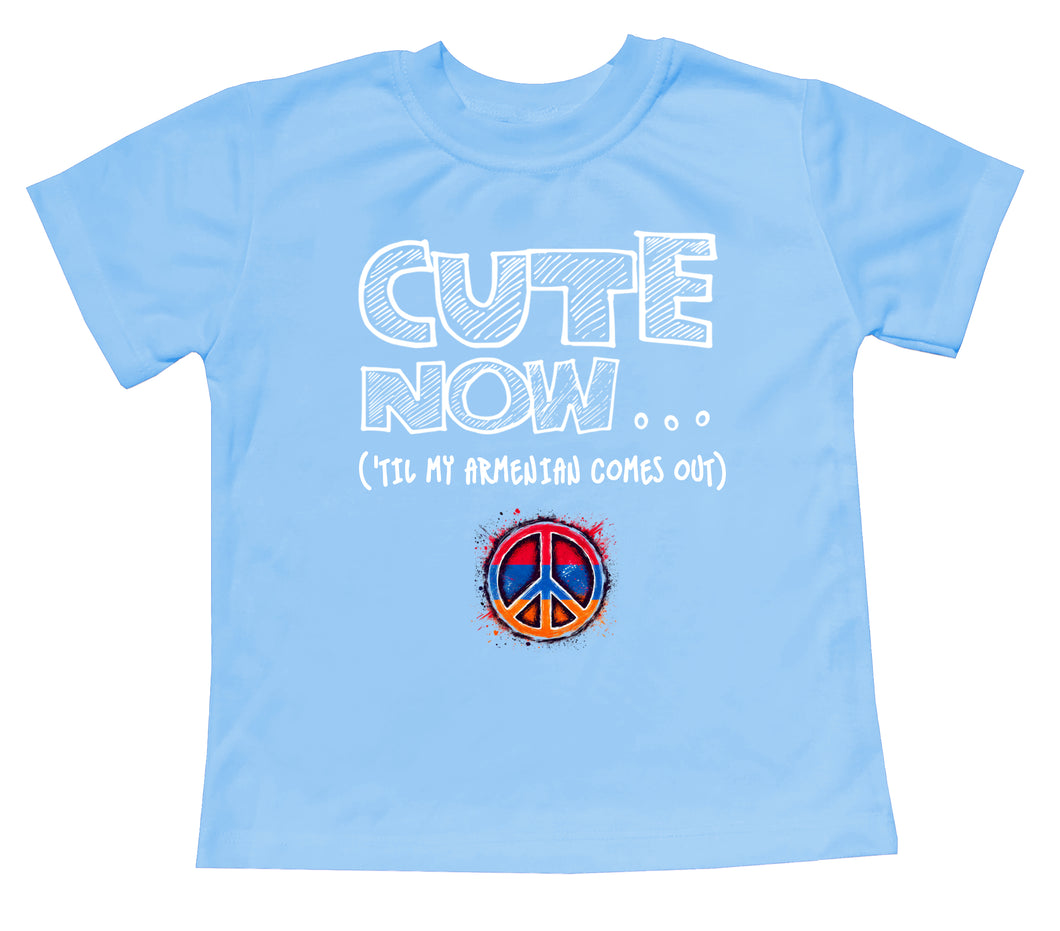 Peace ('Til My Armenian Comes Out) Toddler T-shirt