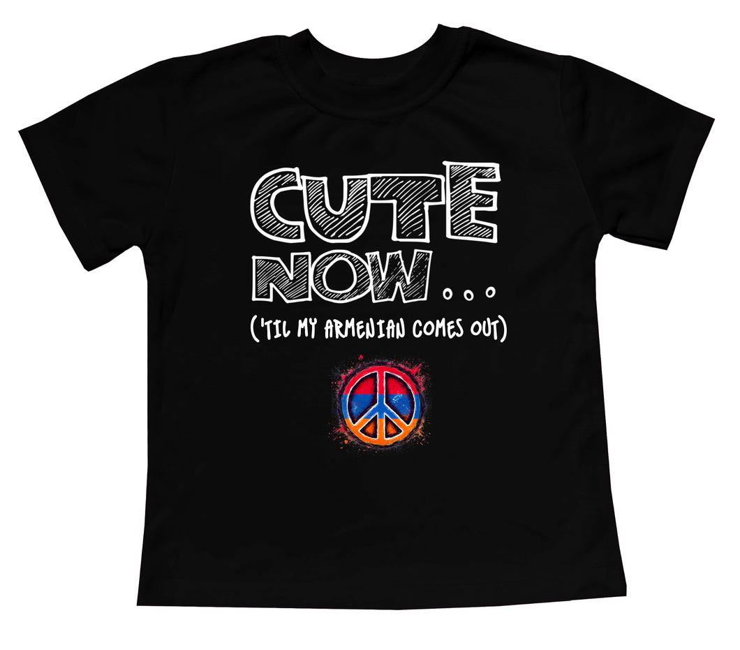 Peace ('Til My Armenian Comes Out) Toddler T-shirt