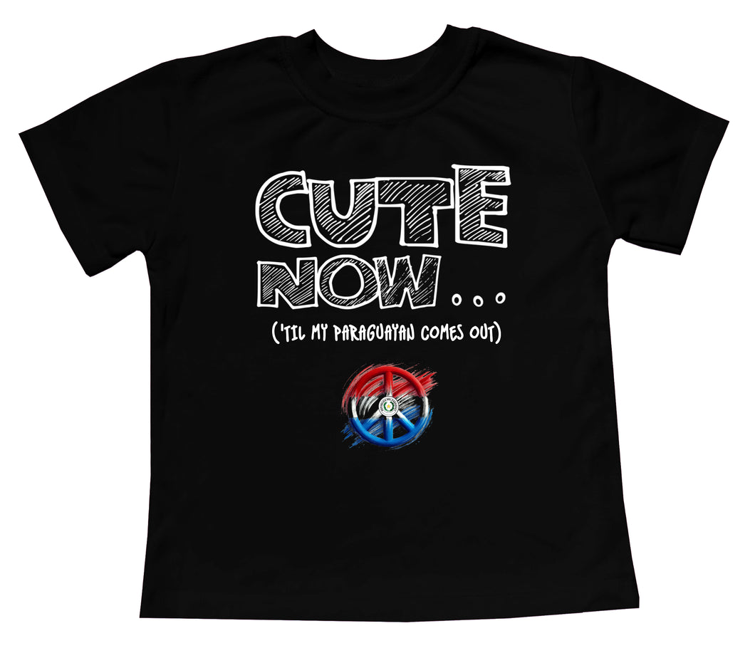 Peace ('Til My Paraguayan Comes Out) Toddler T-shirt