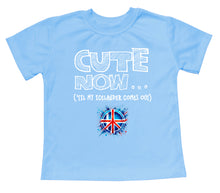 Peace ('Til My Icelander Comes Out) Toddler T-shirt