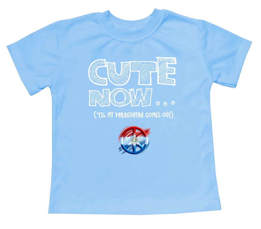 Peace ('Til My Paraguayan Comes Out) Toddler T-shirt