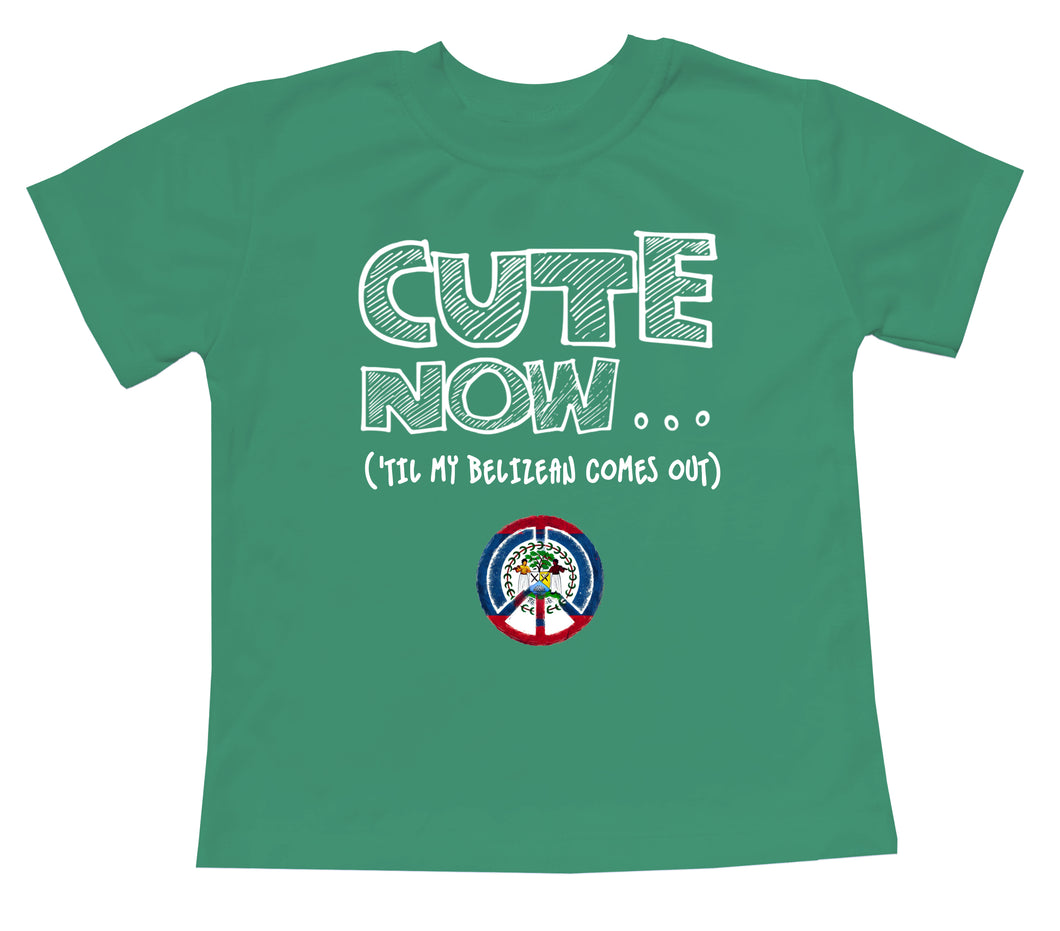 Peace ('Til My Belizean Comes Out) Toddler T-shirt
