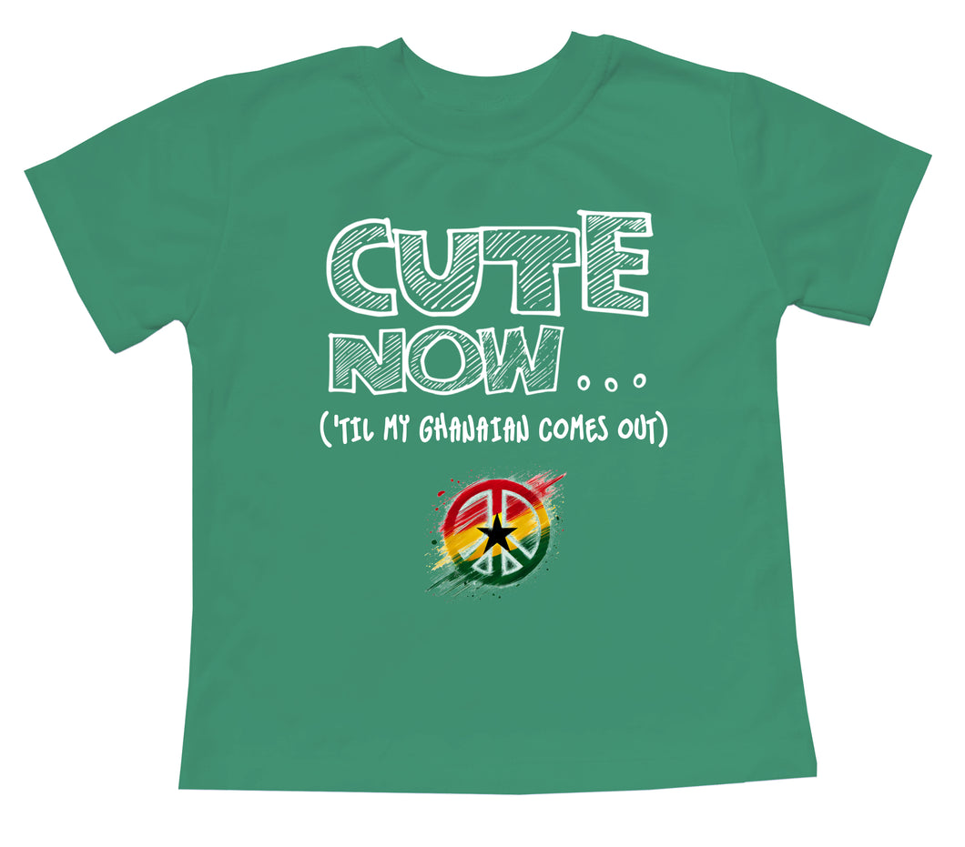Peace ('Til My Ghanaian Comes Out) Toddler T-shirt