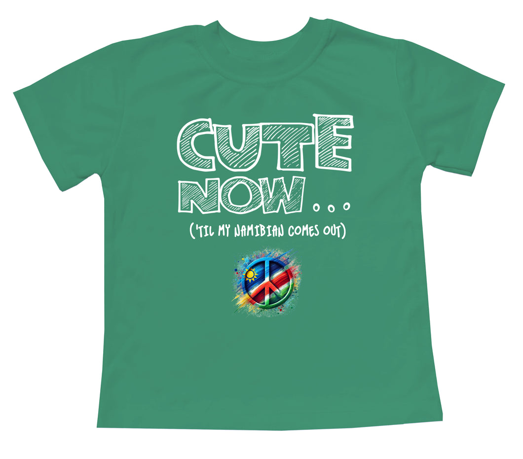 Peace ('Til My Namibian Comes Out) Toddler T-shirt