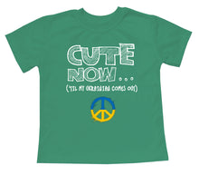 Peace ('Til My Ukrainian Comes Out) Toddler T-shirt
