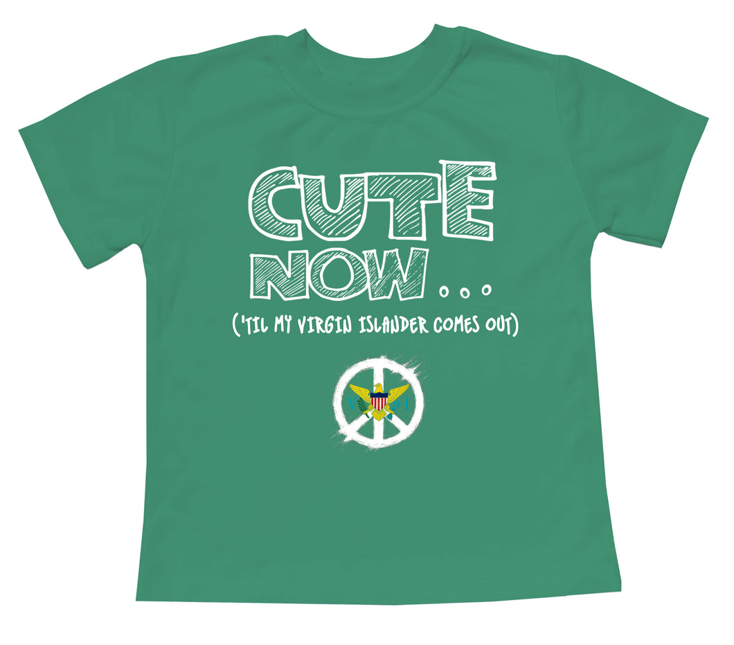 Peace ('Til My Virgin Islander Comes Out) Toddler T-shirt
