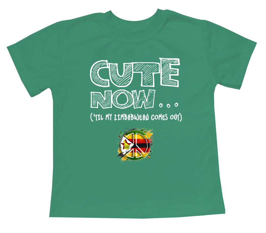 Peace ('Til My Zimbabwean Comes Out) Toddler T-shirt