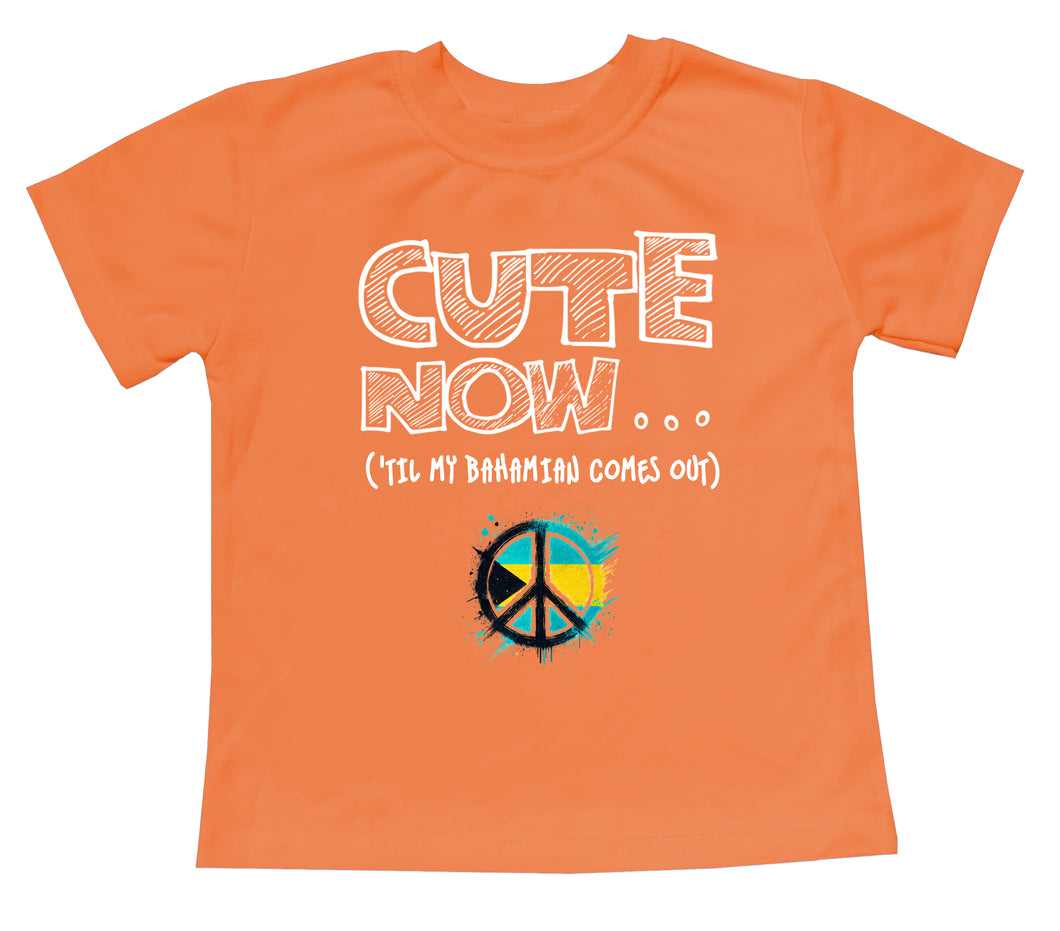 Peace ('Til My Bahamian Comes Out) Toddler T-shirt