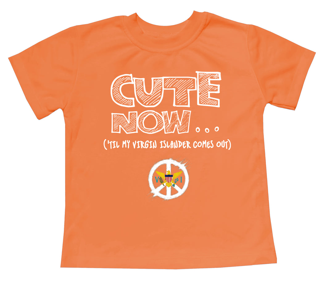 Peace ('Til My Virgin Islander Comes Out) Toddler T-shirt