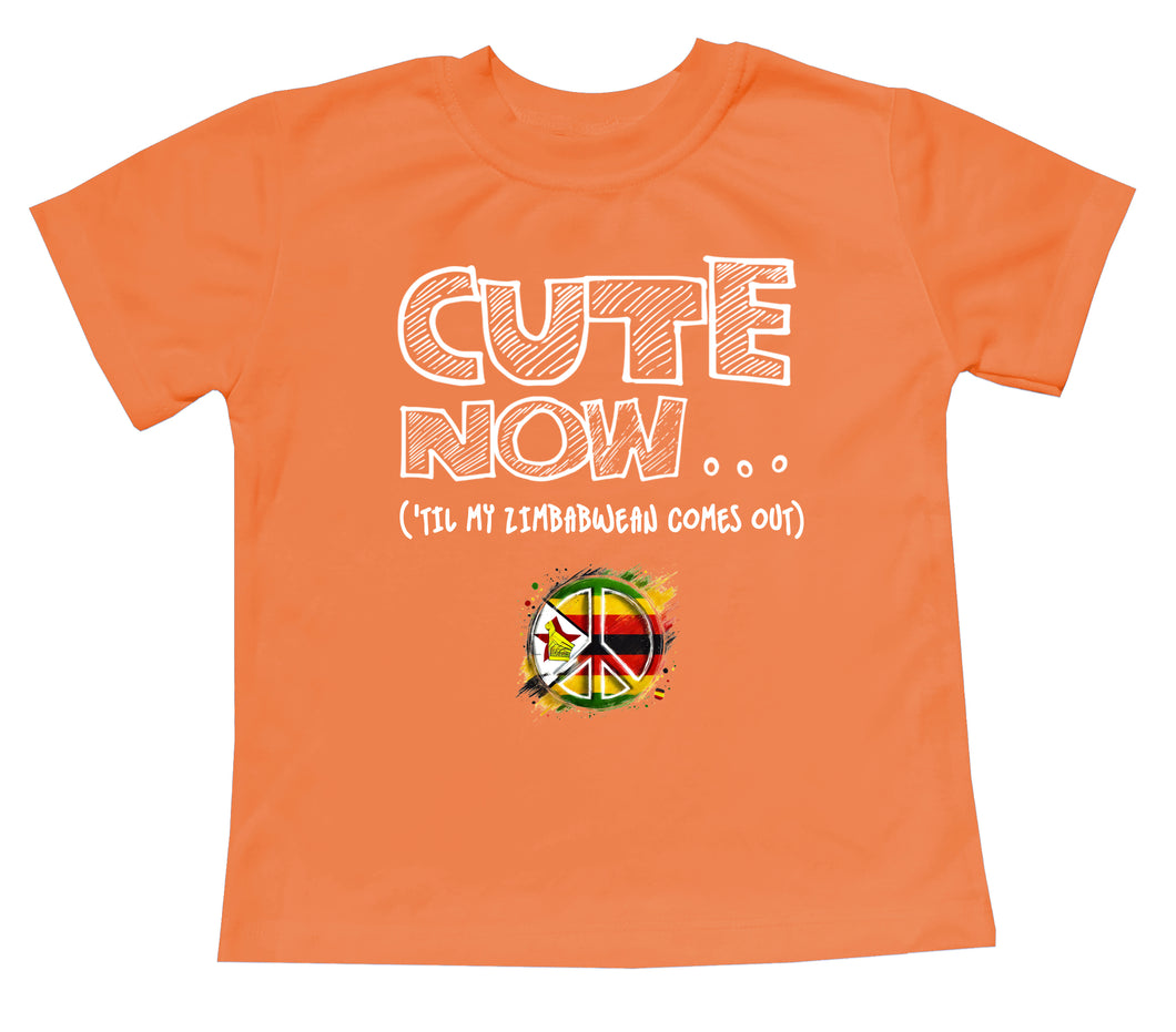 Peace ('Til My Zimbabwean Comes Out) Toddler T-shirt