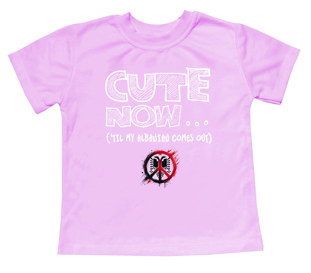 Peace ('Til My Albanian Comes Out) Toddler T-shirt