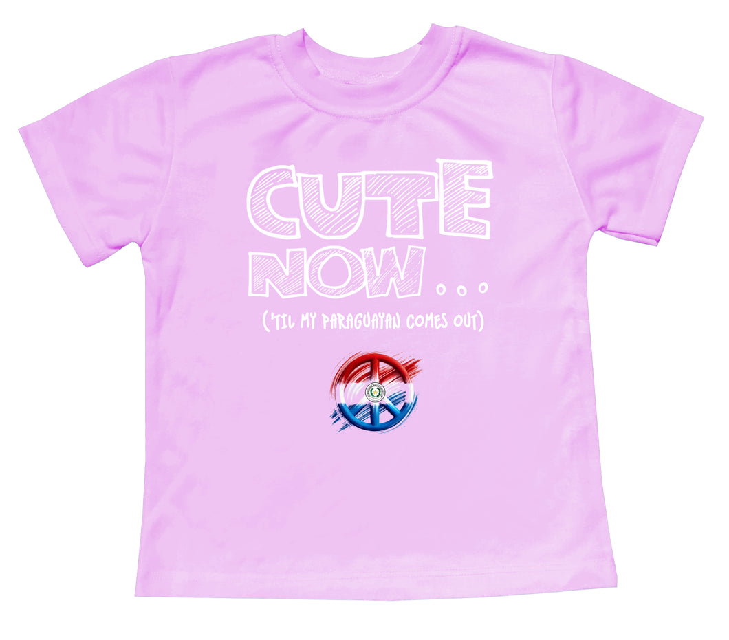 Peace ('Til My Paraguayan Comes Out) Toddler T-shirt
