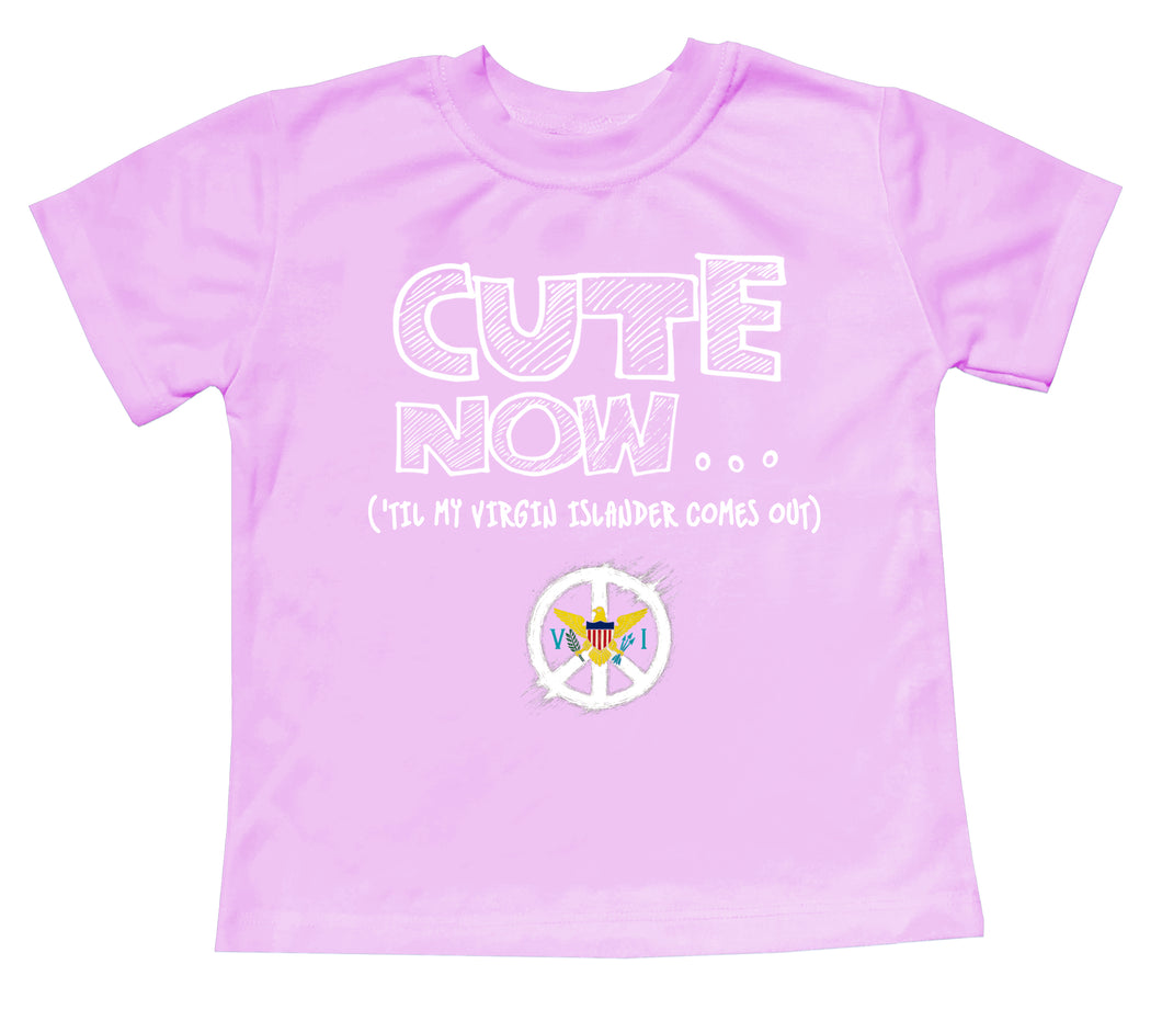 Peace ('Til My Virgin Islander Comes Out) Toddler T-shirt