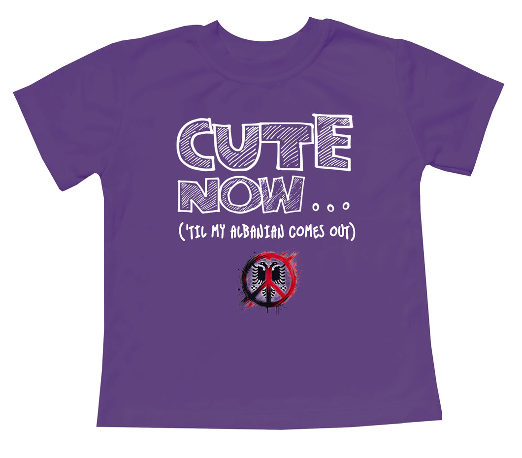 Peace ('Til My Albanian Comes Out) Toddler T-shirt