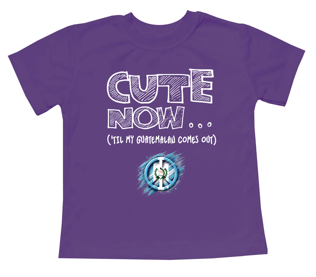 Peace ('Til My Guatemalan Comes Out) Toddler T-shirt