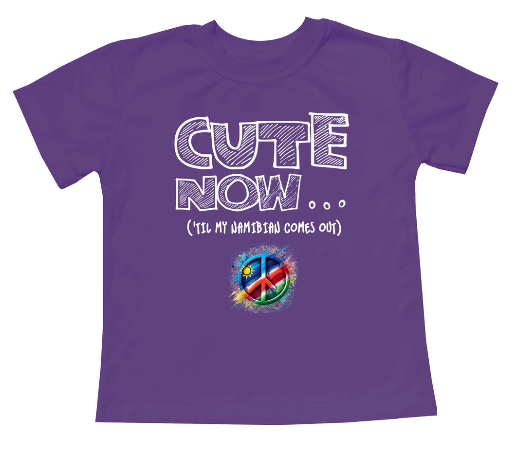 Peace ('Til My Namibian Comes Out) Toddler T-shirt