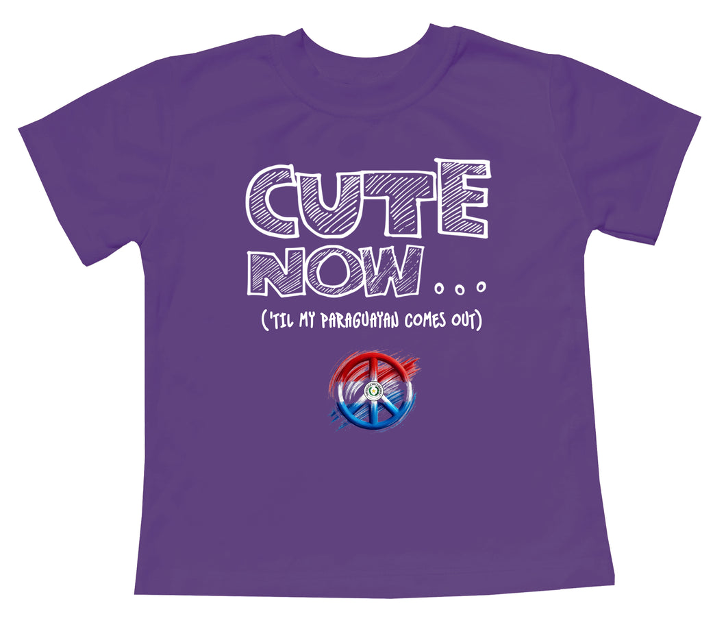 Peace ('Til My Paraguayan Comes Out) Toddler T-shirt