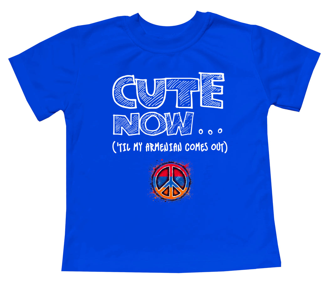 Peace ('Til My Armenian Comes Out) Toddler T-shirt