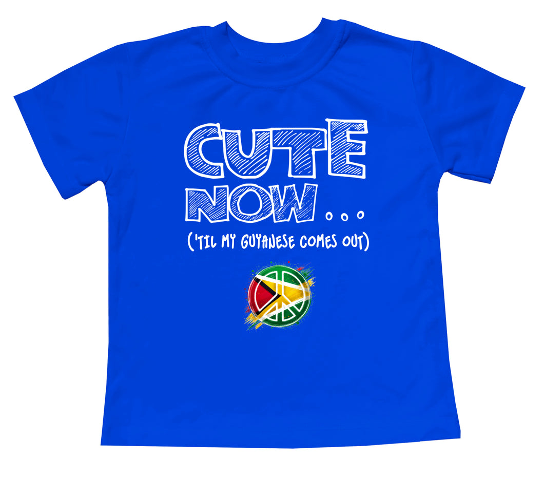 Peace ('Til My Guyanese Comes Out) Toddler T-shirt