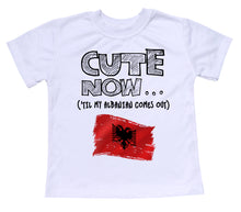 ('Til My Albanian Comes Out) Toddler T-shirt