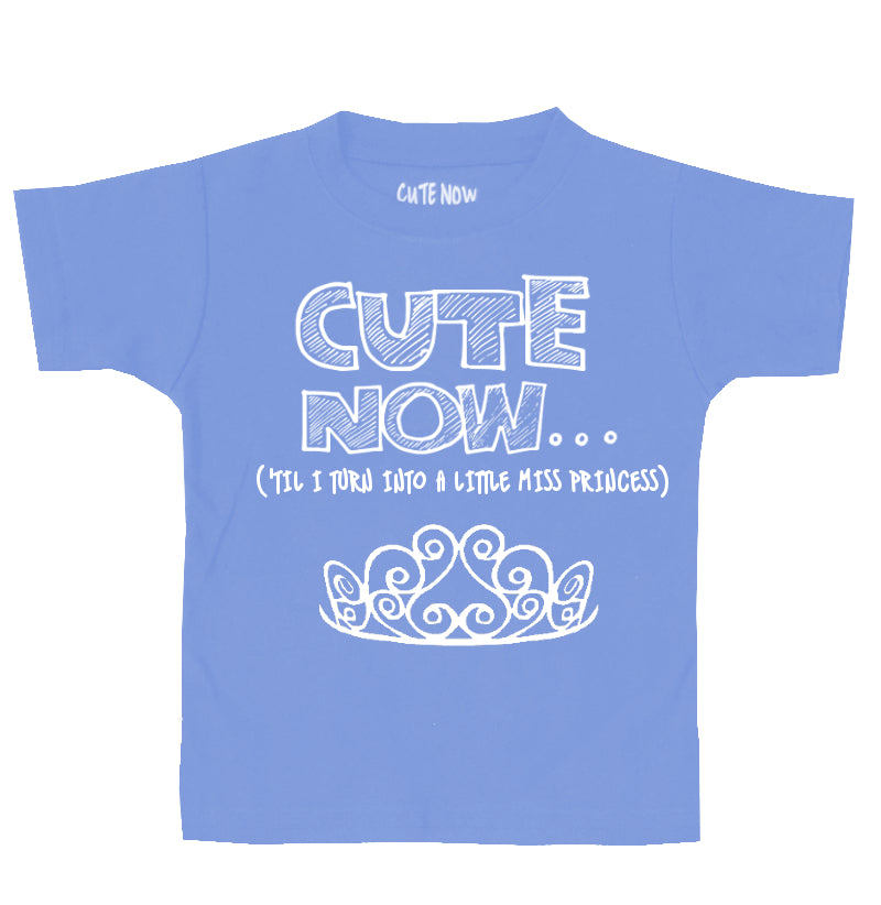 ('Til I Turn Into a Little Miss Princess) Toddler T-shirt