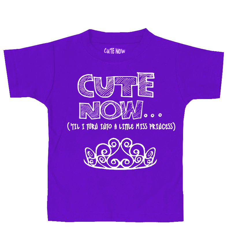 ('Til I Turn Into a Little Miss Princess) Toddler T-shirt