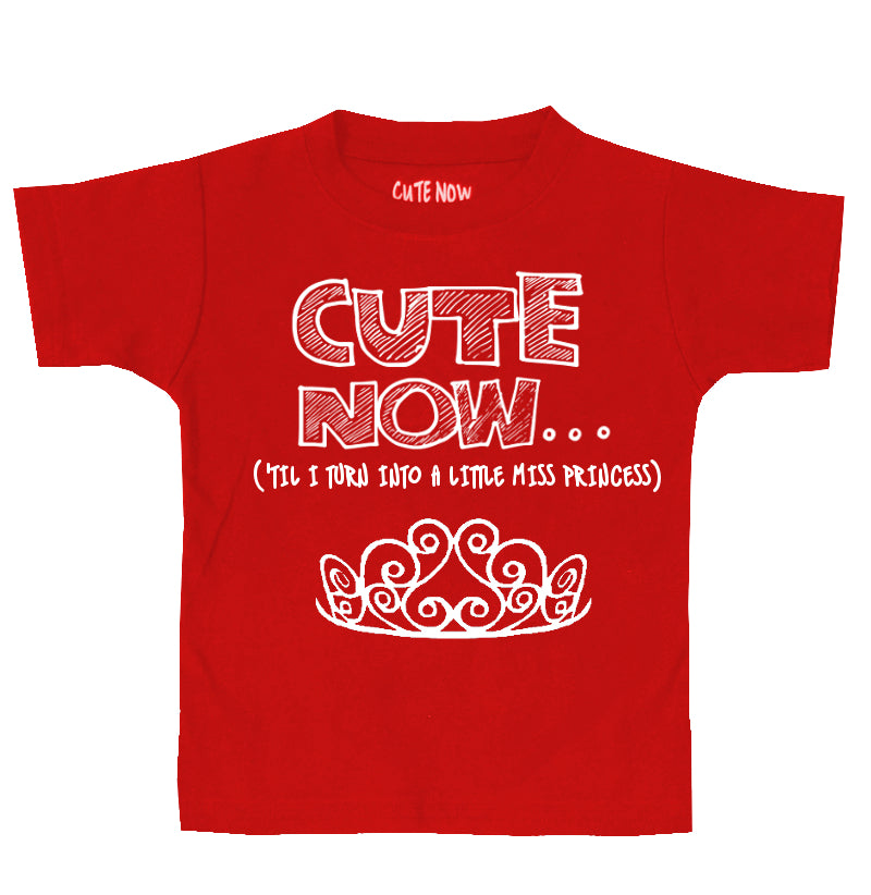 ('Til I Turn Into a Little Miss Princess) Toddler T-shirt