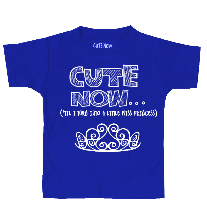 ('Til I Turn Into a Little Miss Princess) Toddler T-shirt