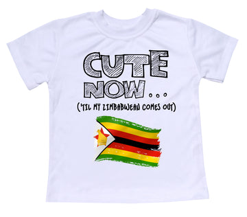 ('Til My Zimbabwean Comes Out) Toddler T-shirt